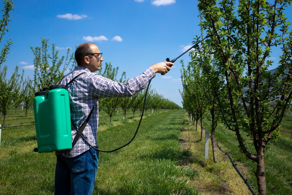 male-agronomist-treating-apple-trees-with-pesticides-orchard)